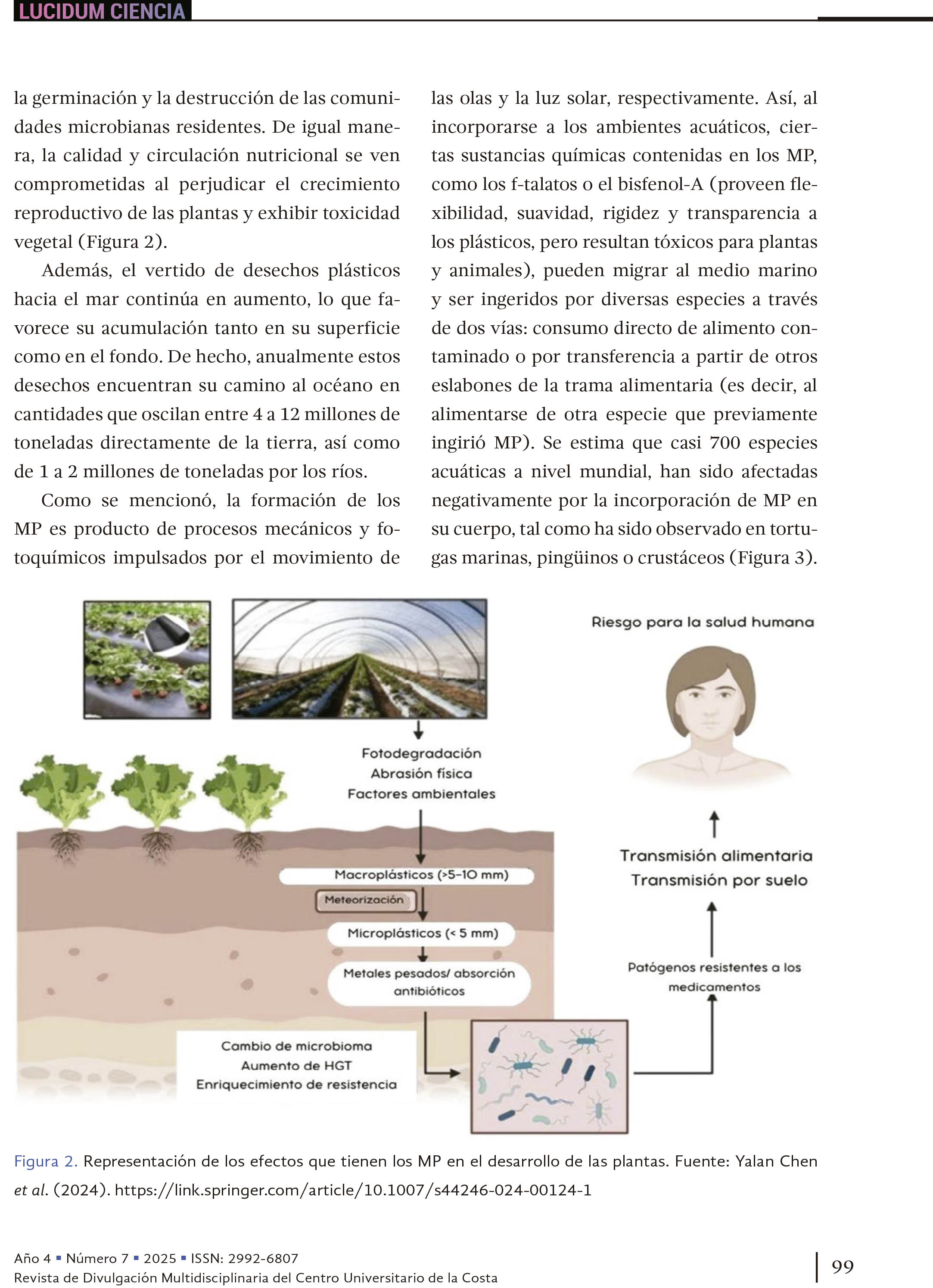 11. Microplásticos: amenaza para los ecosistemas y la salud humana