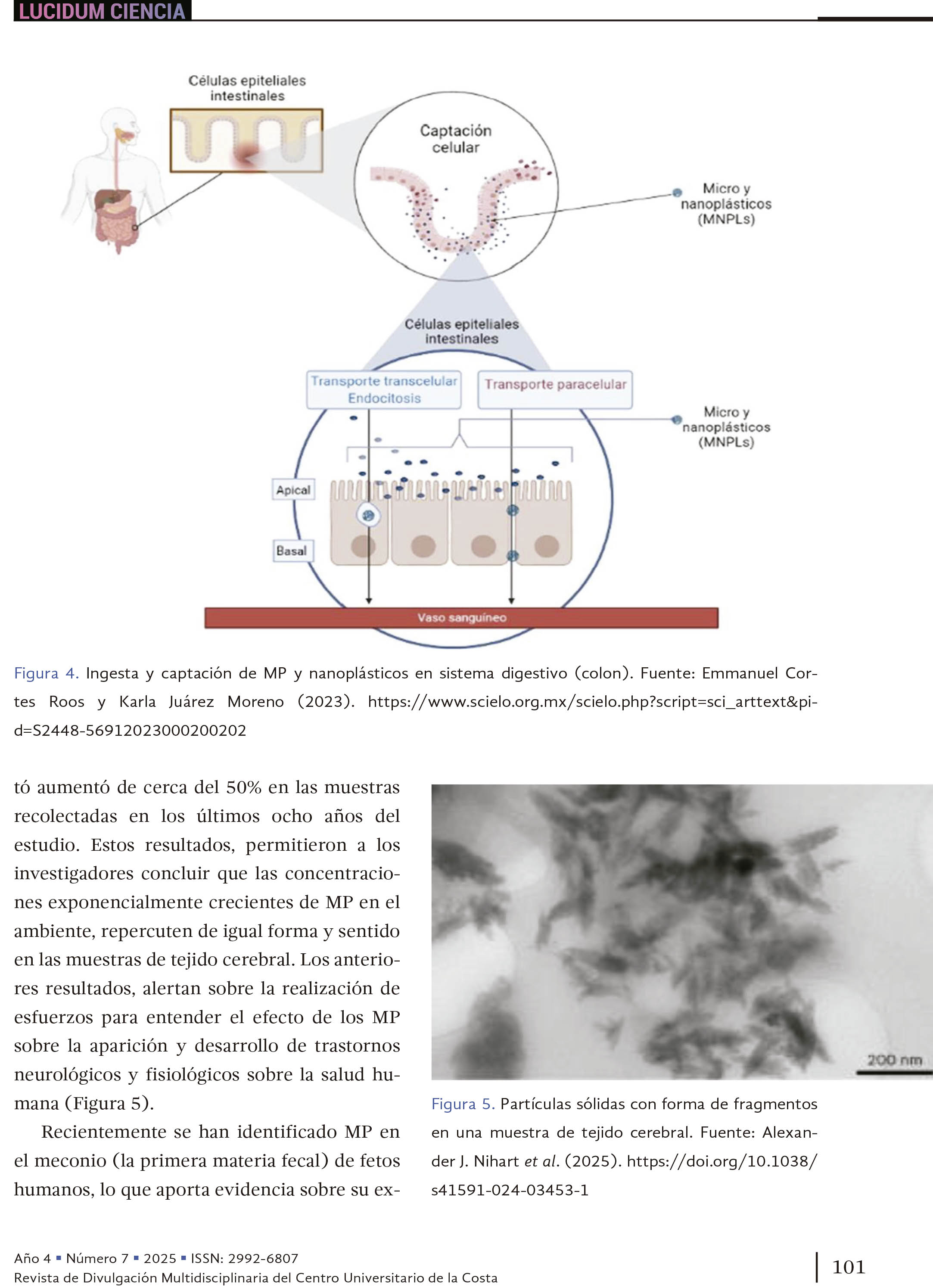 11. Microplásticos: amenaza para los ecosistemas y la salud humana