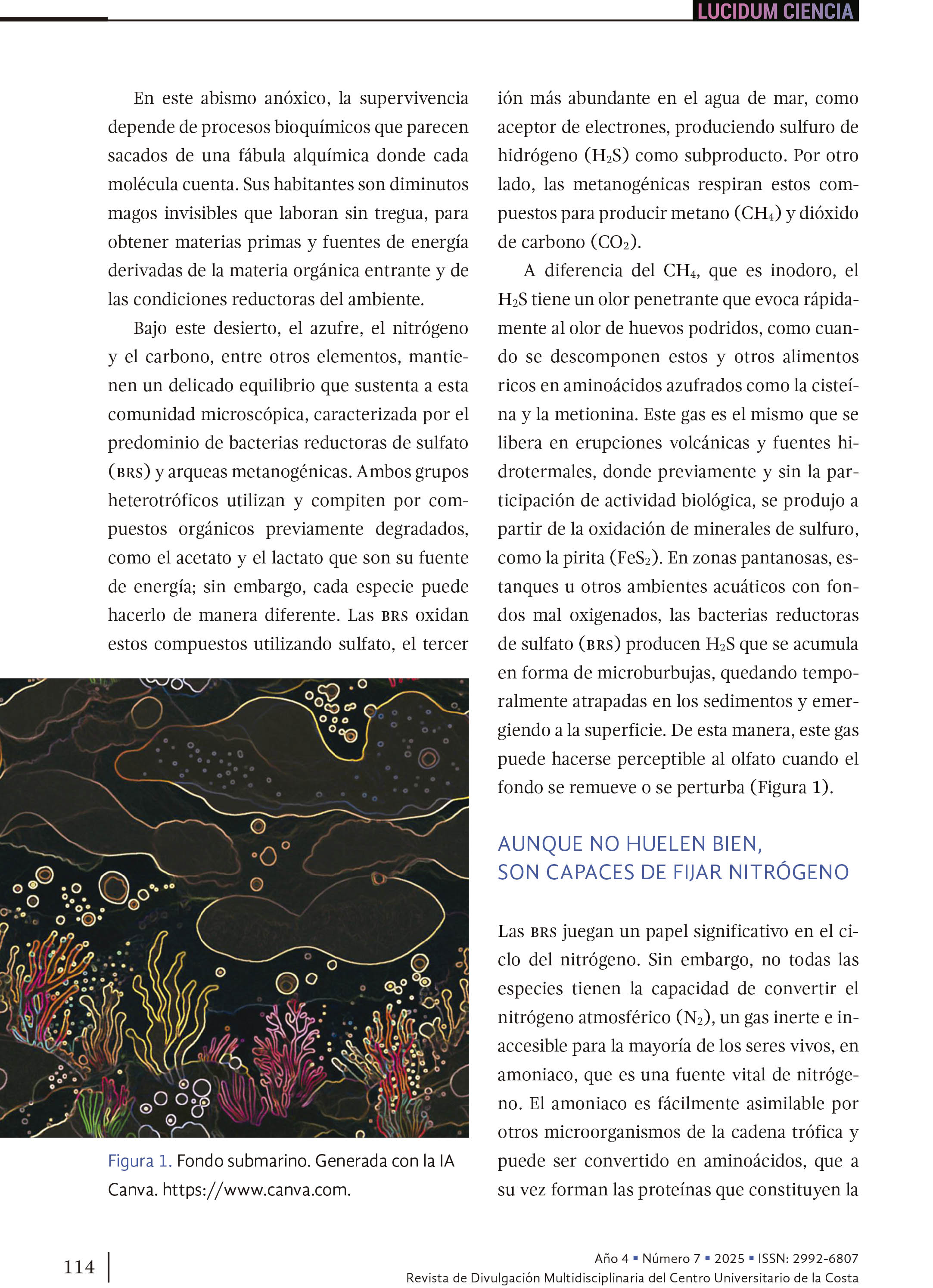 13. Las bacterias del olor a… ¡huevo podrido!