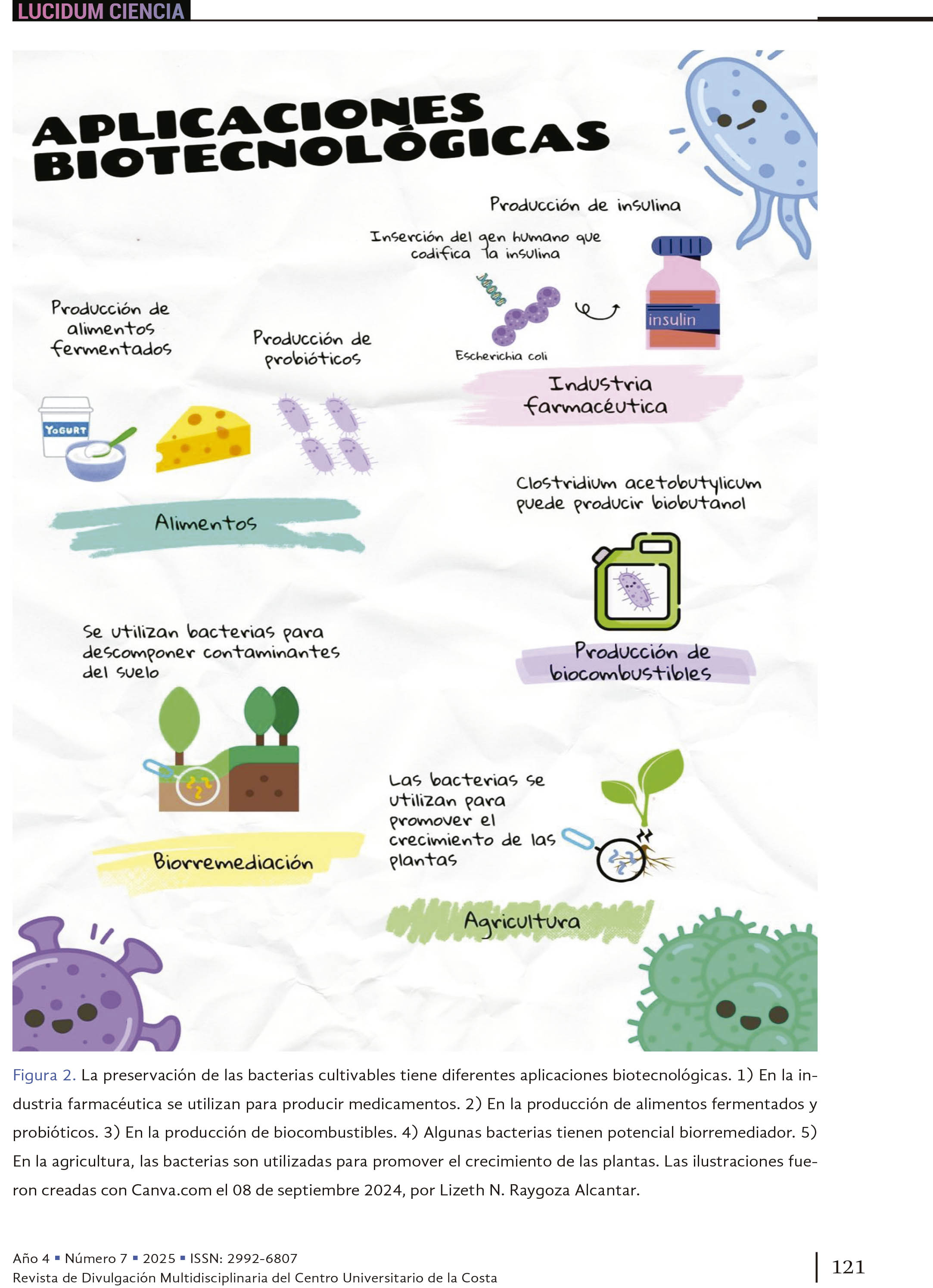 14. Conservando el futuro: el reto de la preservación bacteriana