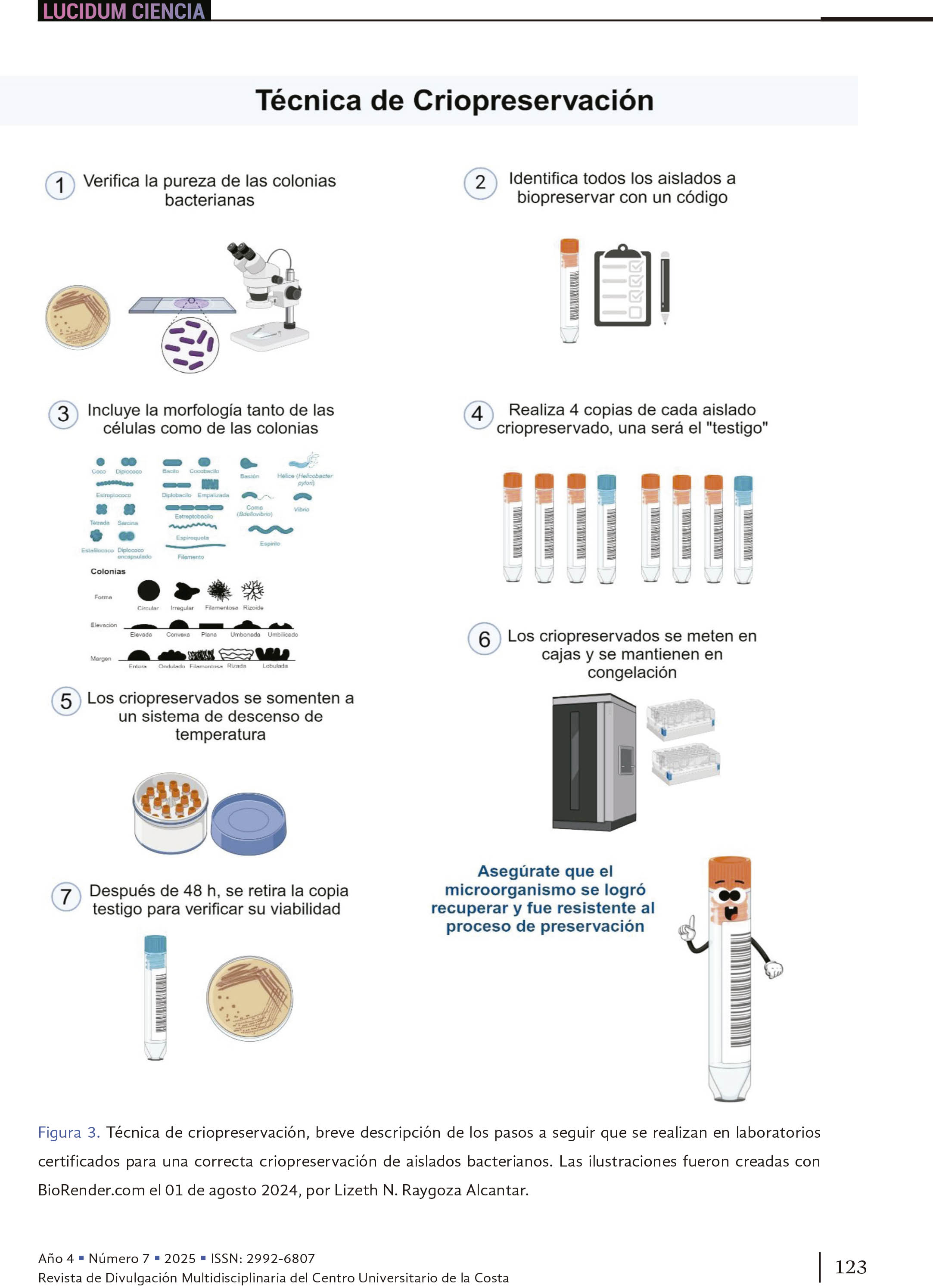 14. Conservando el futuro: el reto de la preservación bacteriana