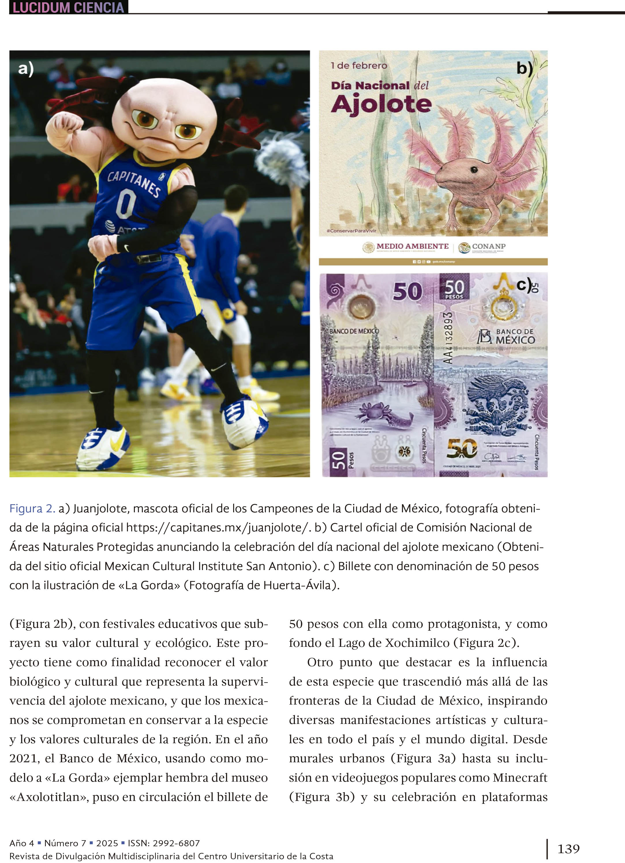 16. La criatura que susurra en Xochimilco: el ajolote entre el mito y la desaparición