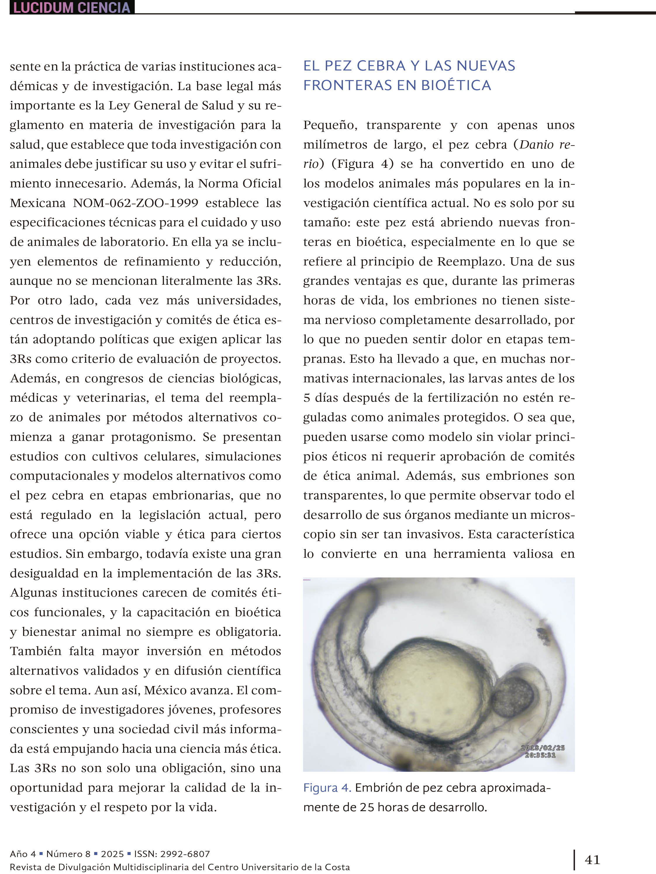 4. Ciencia con conciencia: el corazón de las 3Rs