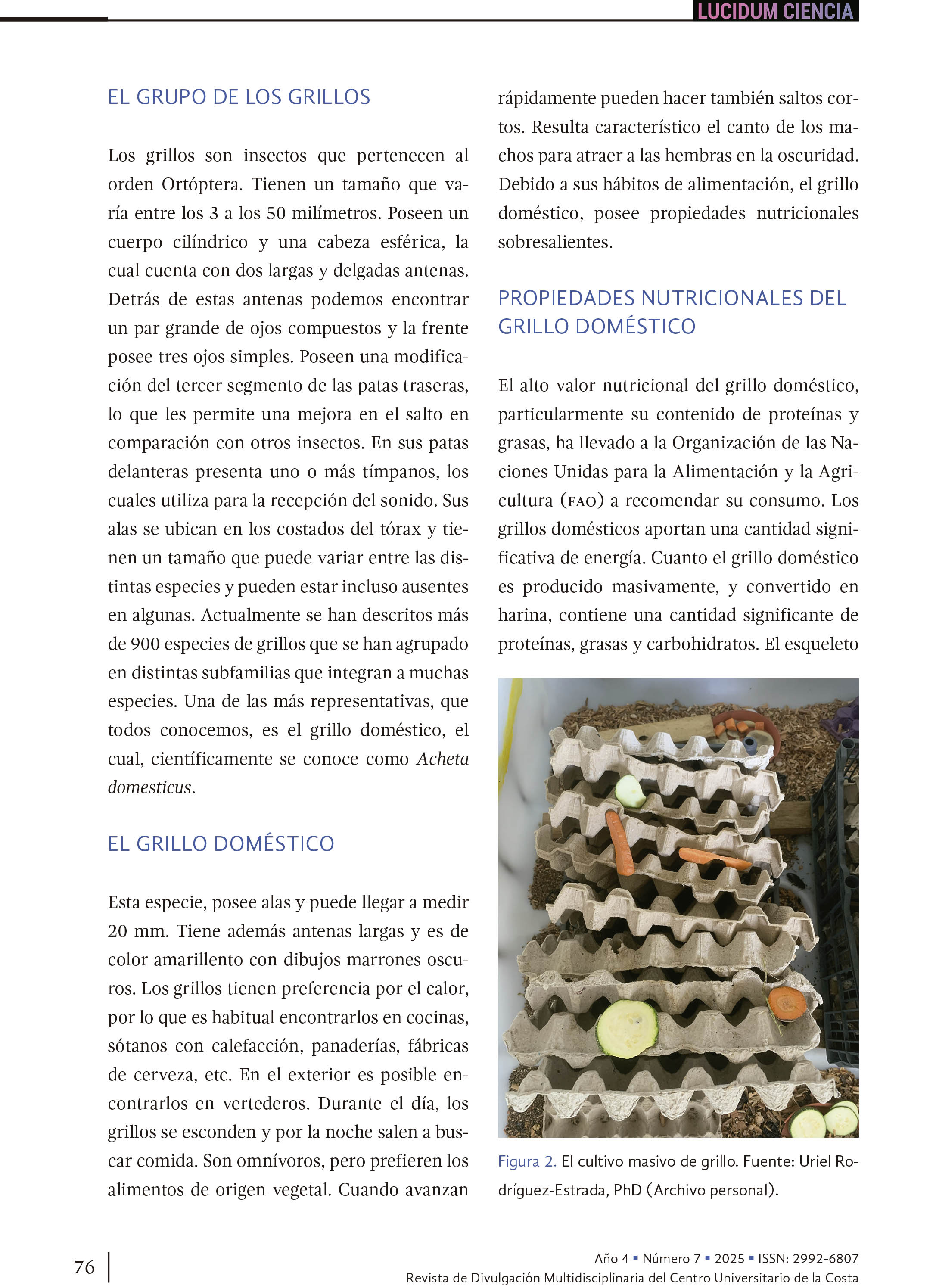 8. El grillo doméstico: ¿es el platillo favorito de nuestros peces de cultivo?