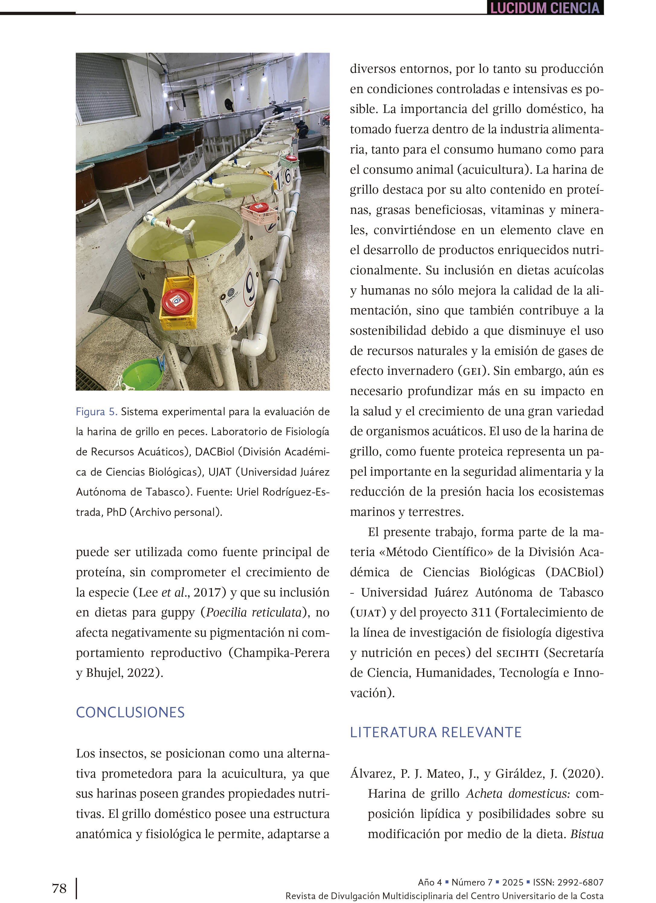 8. El grillo doméstico: ¿es el platillo favorito de nuestros peces de cultivo?