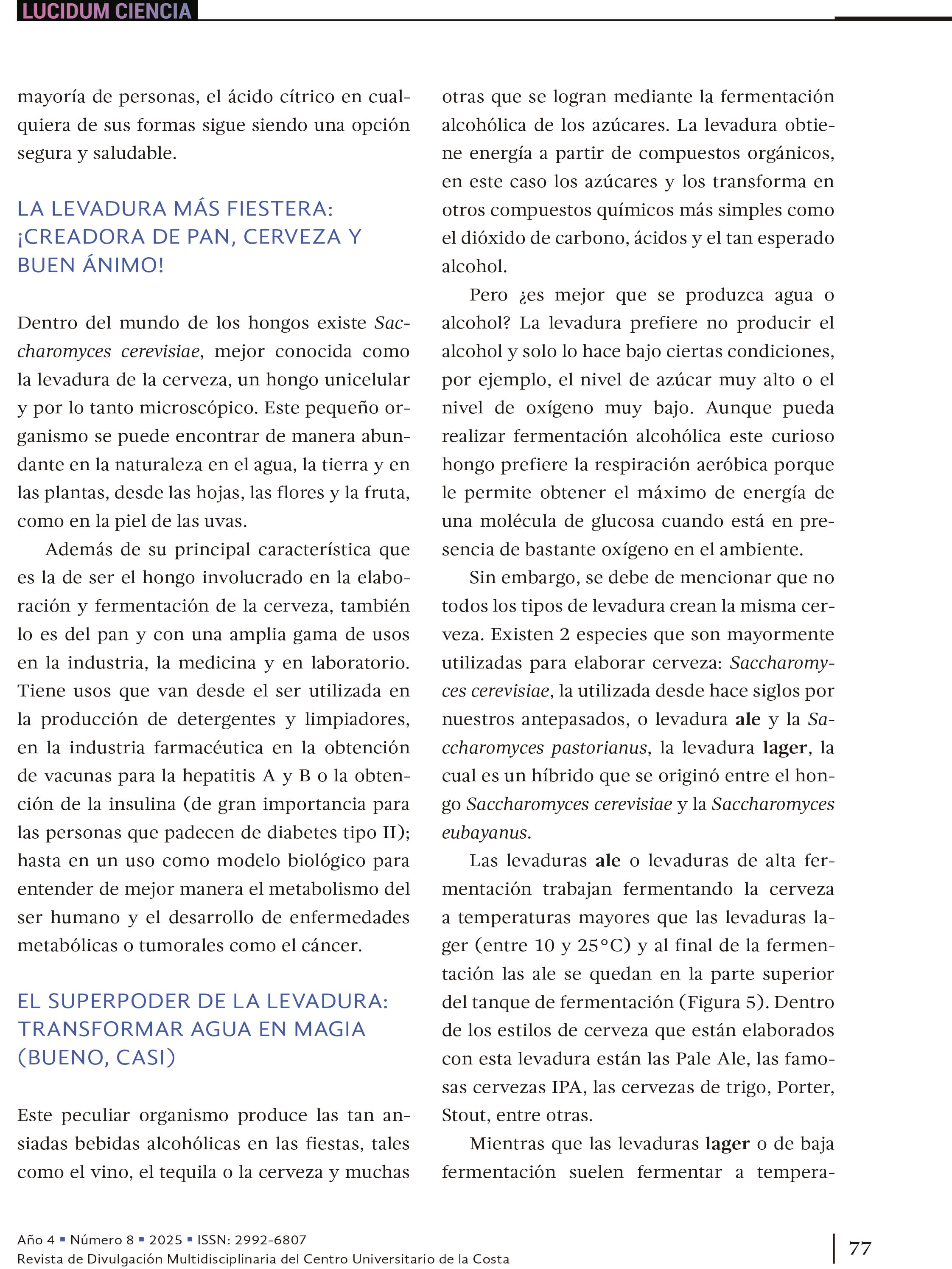 Entre micelios y mercados: los hongos Aspergillus niger y Saccharomyces cerevisiae