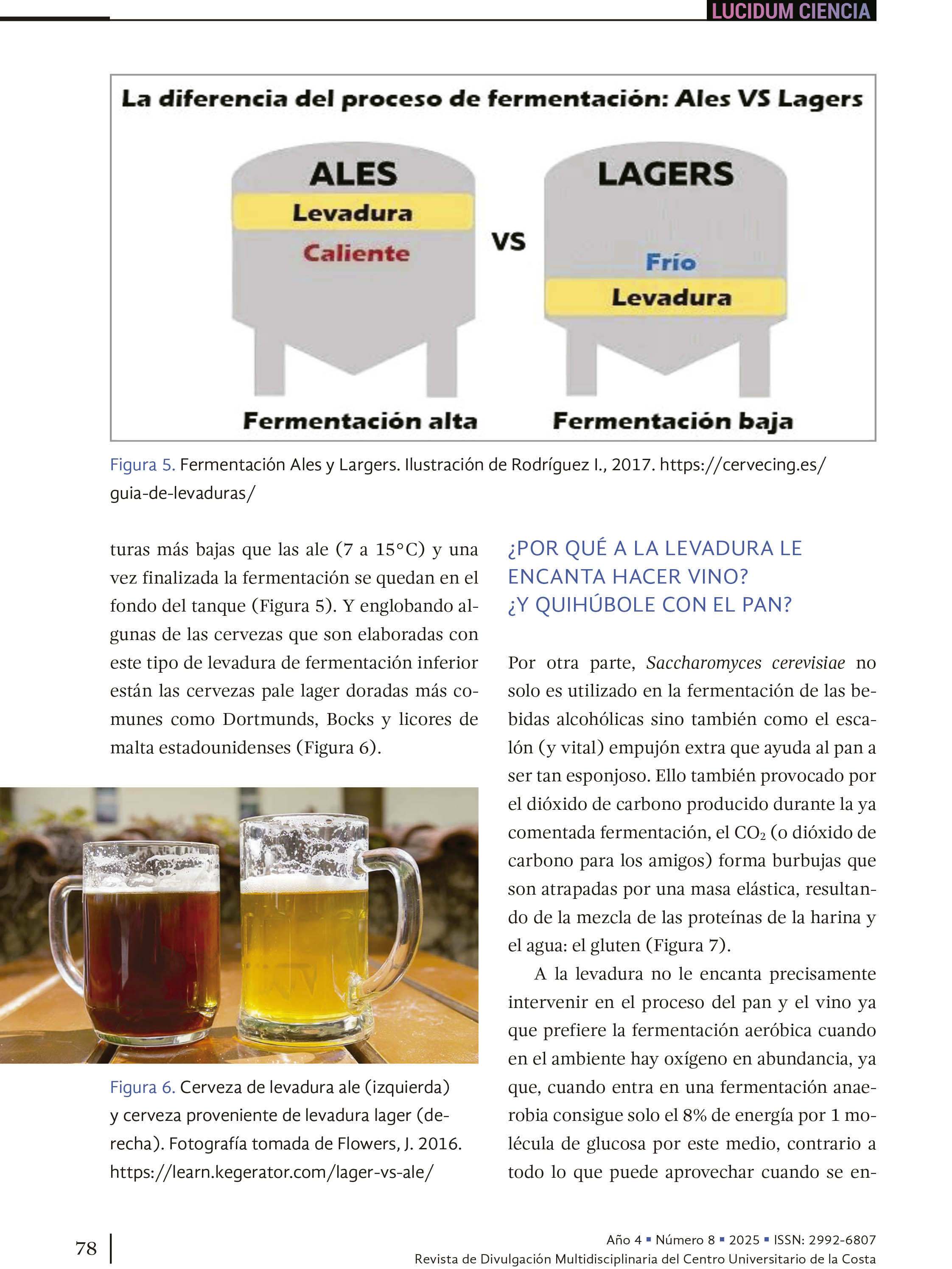 Entre micelios y mercados: los hongos Aspergillus niger y Saccharomyces cerevisiae