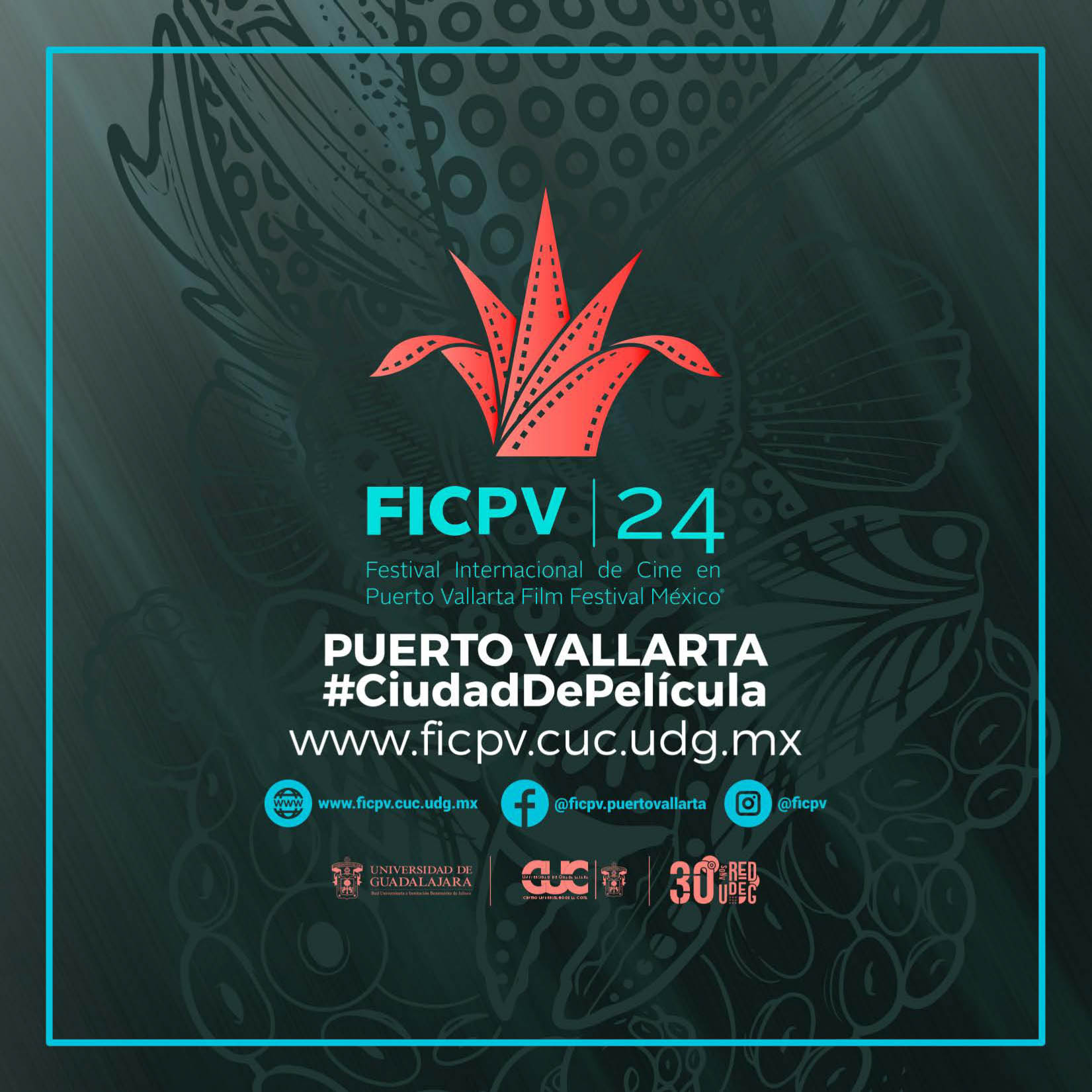 Programa FICPV 24