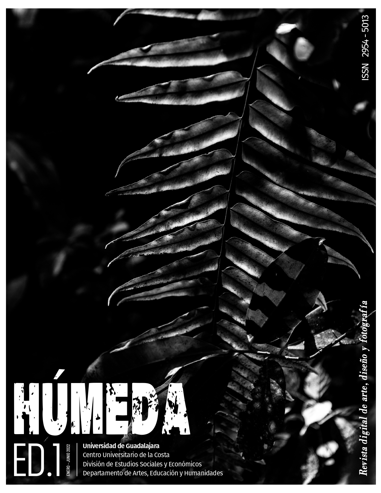 Húmeda 1