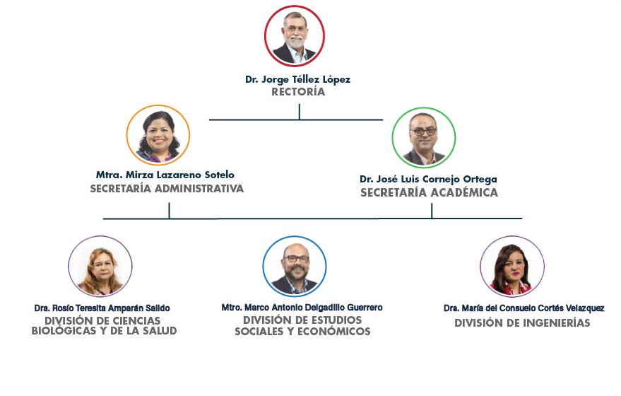 Organigrama CUCosta