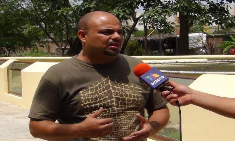 Más de 1600 Iguanas podrán Eclosionar en la UMA Reptilario Cipactli