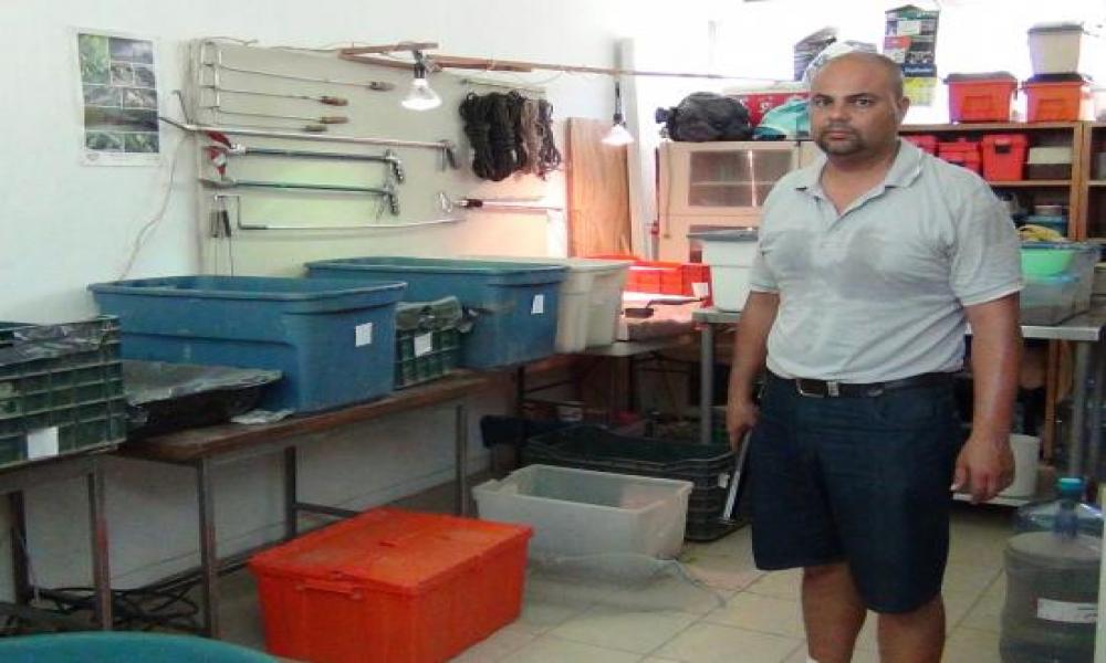 Más de 1600 Iguanas podrán Eclosionar en la UMA Reptilario Cipactli