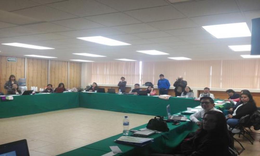 XIV Reunión de Coordinadores del Programa “Domingos en la Ciencia”