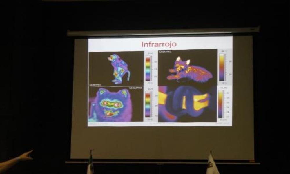 Se imparte taller de astronomía para niños en el CUCosta