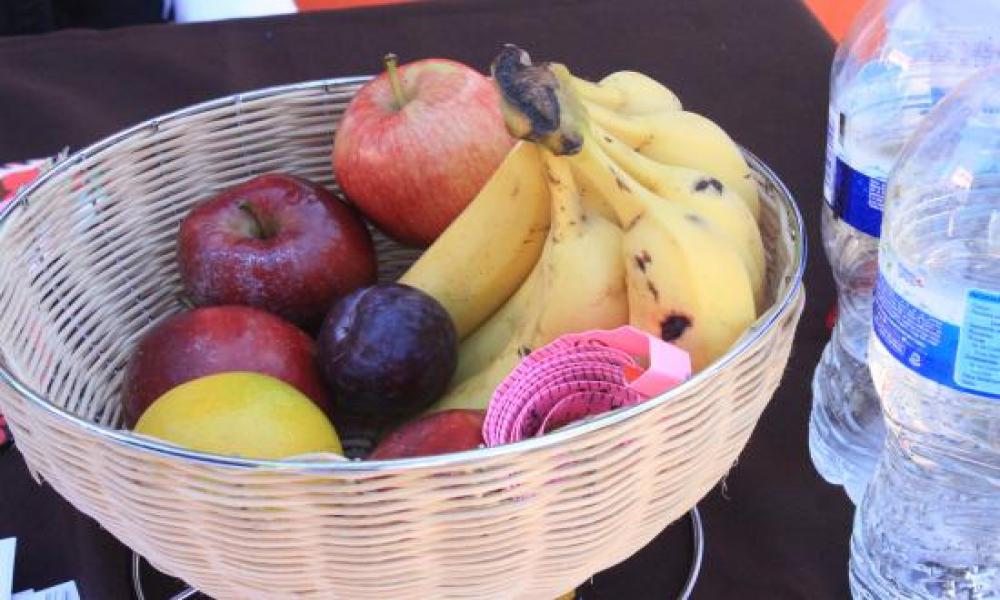 Alumnos de la Carrera de Medicina realizan la Feria de la Salud