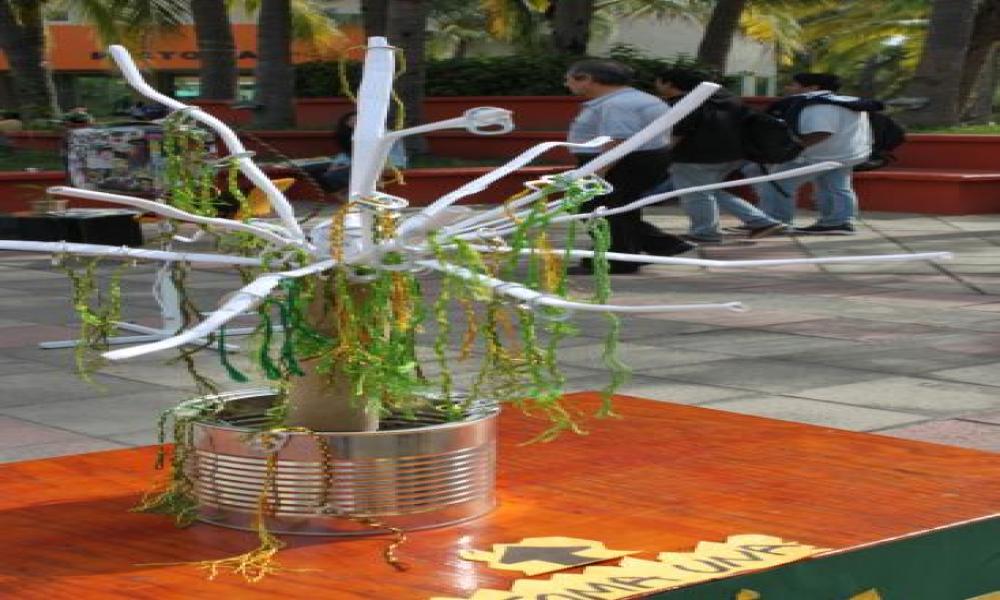 Exhibición de “Arte Objeto” en CUCosta