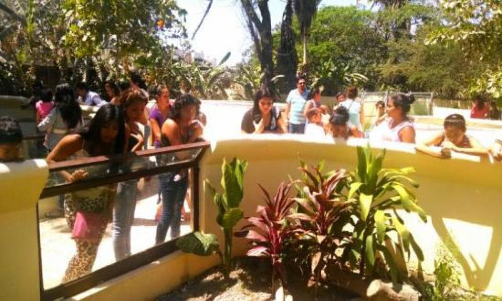 CUCosta celebra el Día de las Madres