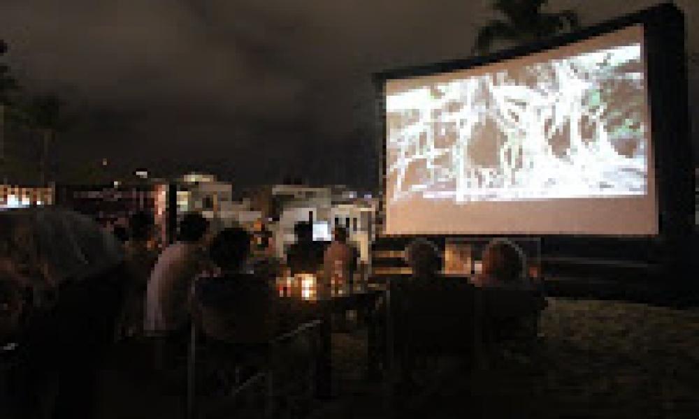 El 15° FICPV presenta la proyección “El ruiseñor y la noche, Chavela canta a Lorca”