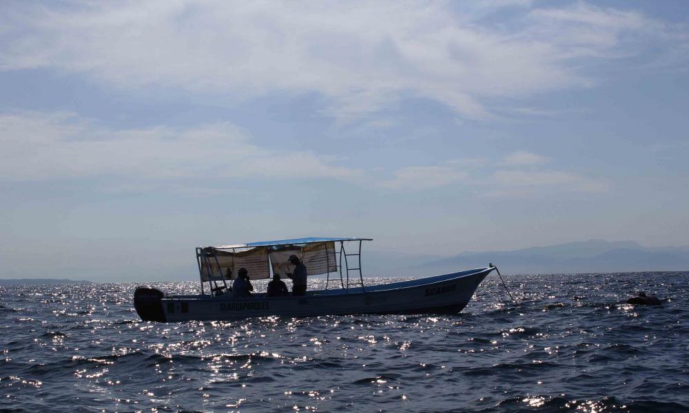 Amplía CUCosta zona de restauración en Islas Marietas