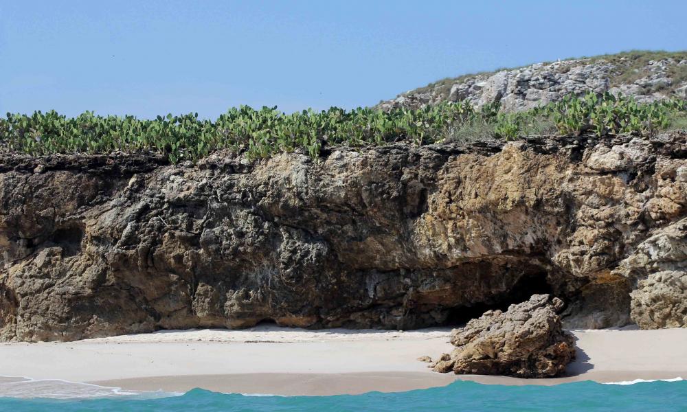 Amplía CUCosta zona de restauración en Islas Marietas