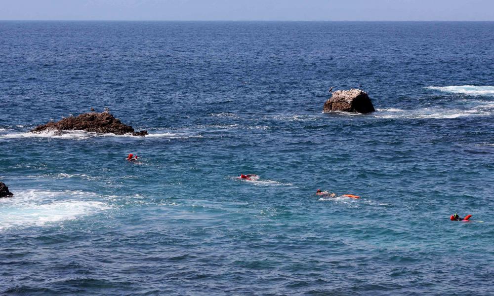 Amplía CUCosta zona de restauración en Islas Marietas