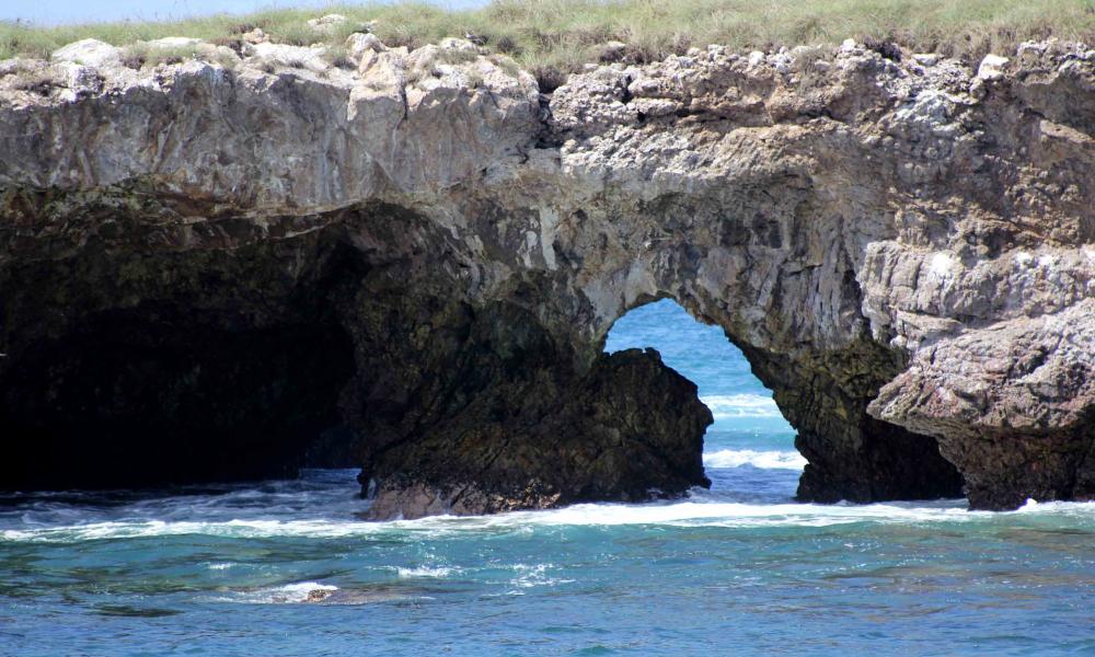 Amplía CUCosta zona de restauración en Islas Marietas