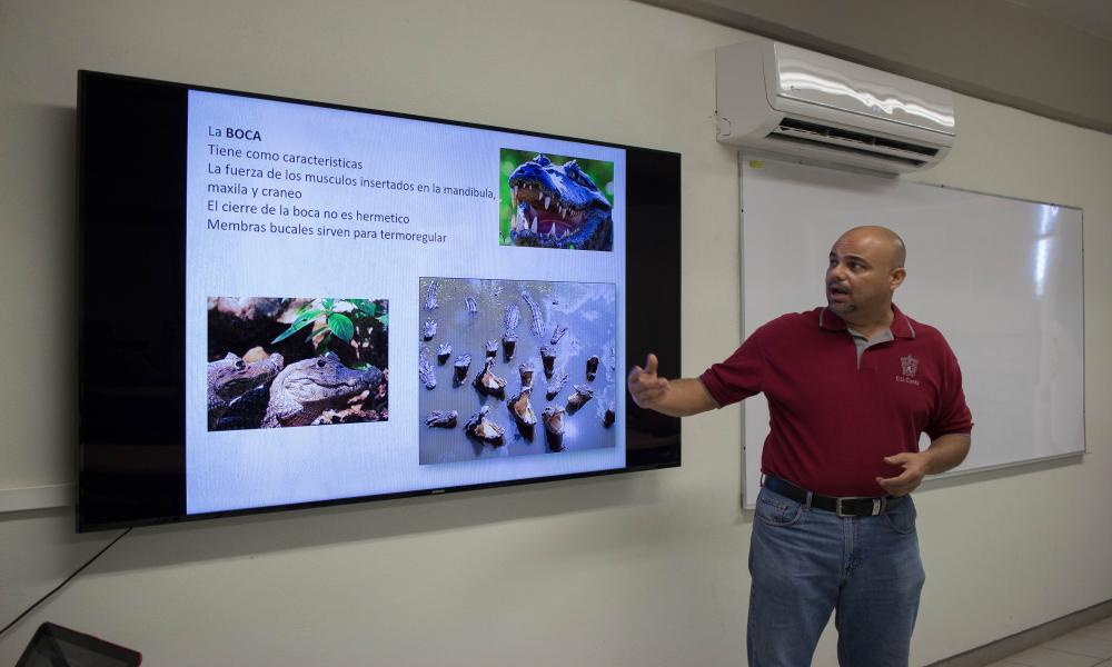 Manejo y Conservación de Cocodrilos
