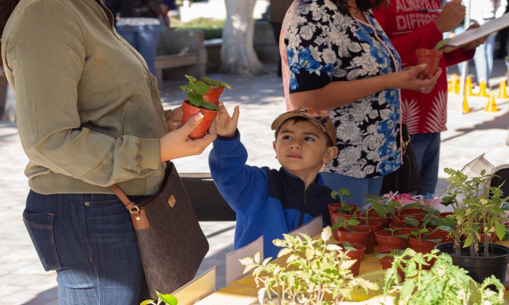 Comienzan en Mascota las Brigadas Universitarias CUCosta