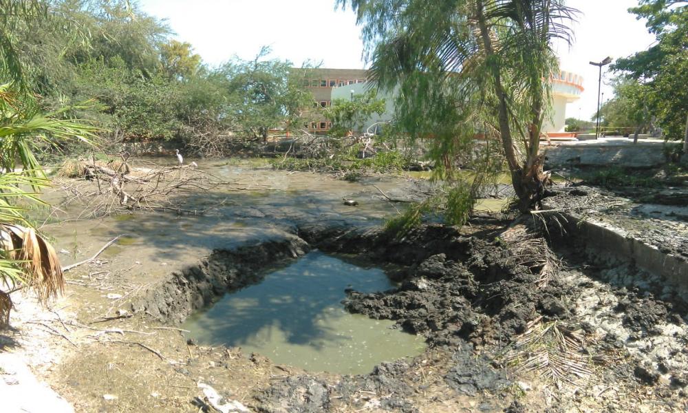 Cooperación entre autoridades municipales y universitarias en pro de la Comunidad Universitaria del CUCosta