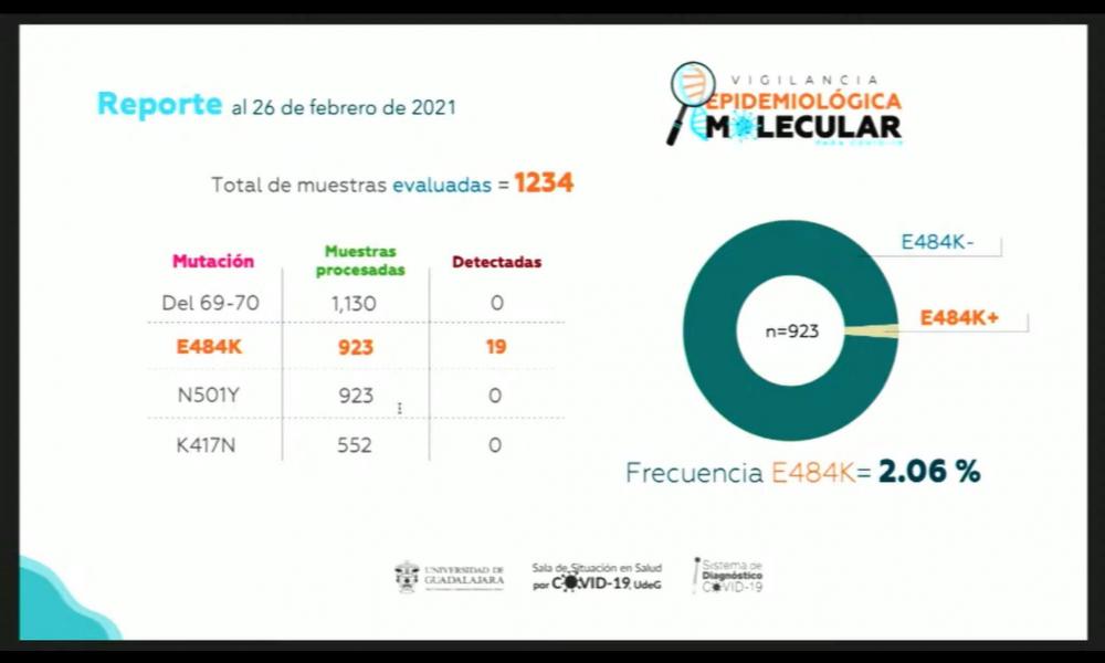 UdeG y Genes 2 Life crean COVIFLU KIT, prueba para la detección de COVID-19 e influenza A y B