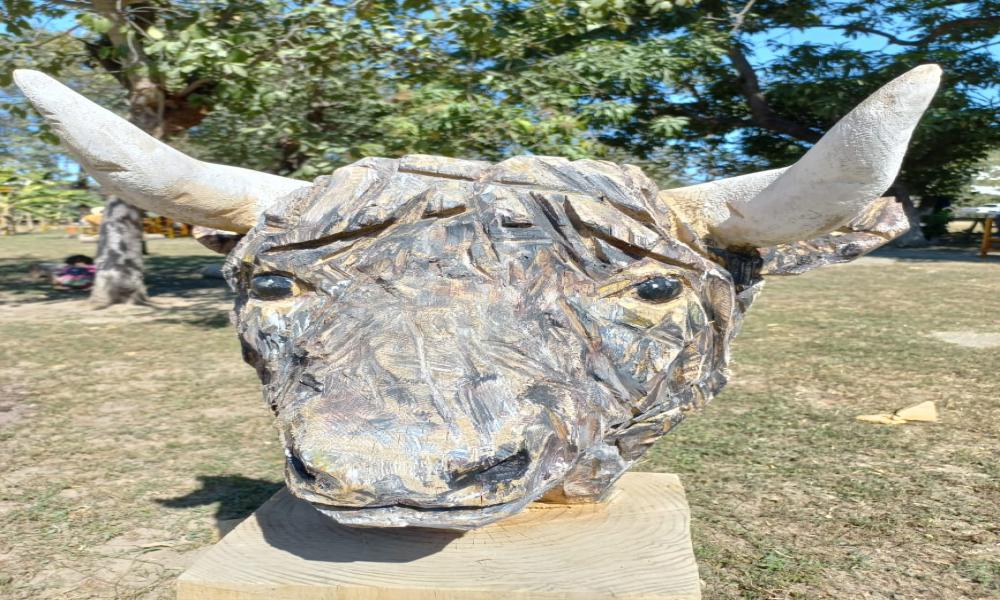 TEXTURAS EN SINFONÍA DE PINO