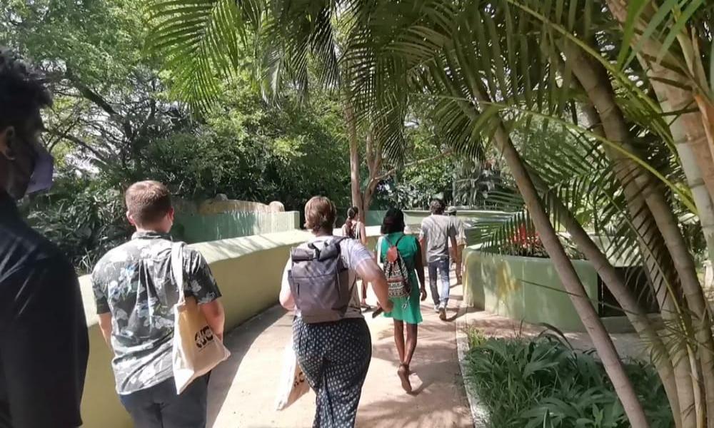 Visitan CUCosta estudiantes de posgrado de la Universidad del Norte de Illinois