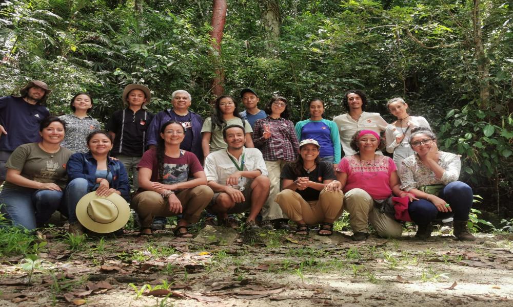 Profesores y alumnos del CUCosta identifican árboles nativos