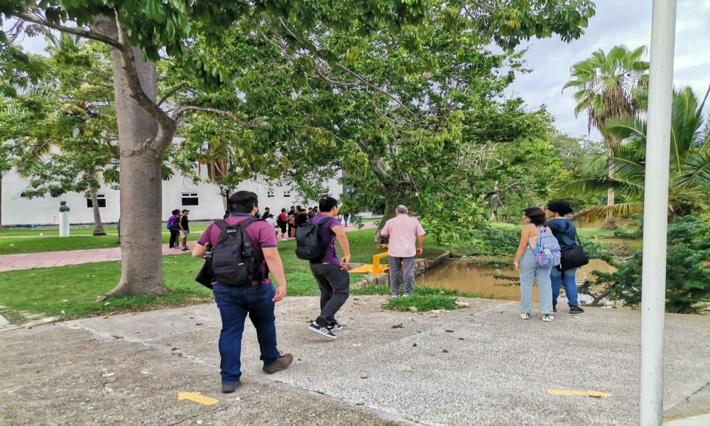 La presencia de cocodrilo sorprende gratamente a la comunidad universitaria