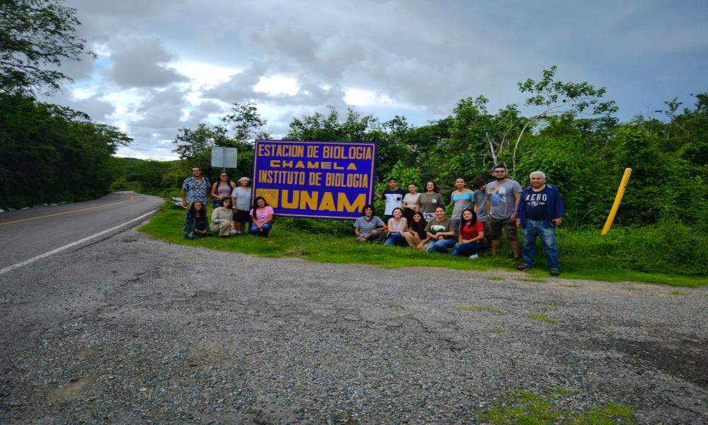 Profesores y alumnos del CUCosta identifican árboles nativos