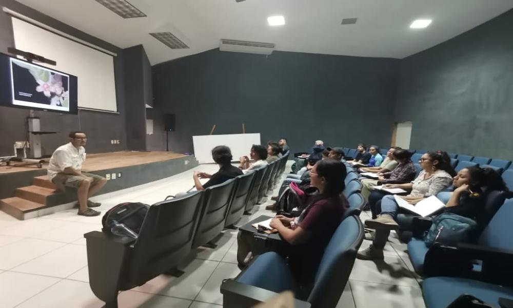 Profesores y alumnos del CUCosta identifican árboles nativos