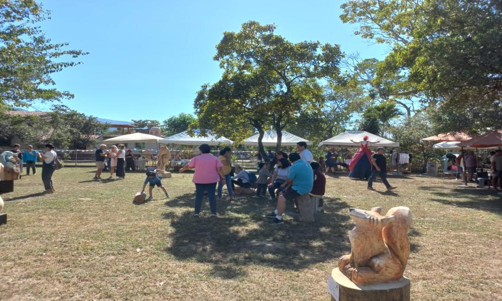 TEXTURAS EN SINFONÍA DE PINO