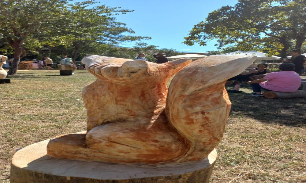 TEXTURAS EN SINFONÍA DE PINO