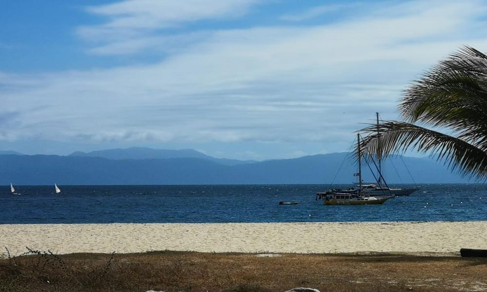 Sin riesgo consumo de mariscos ante marea roja Investigadora del CUCosta