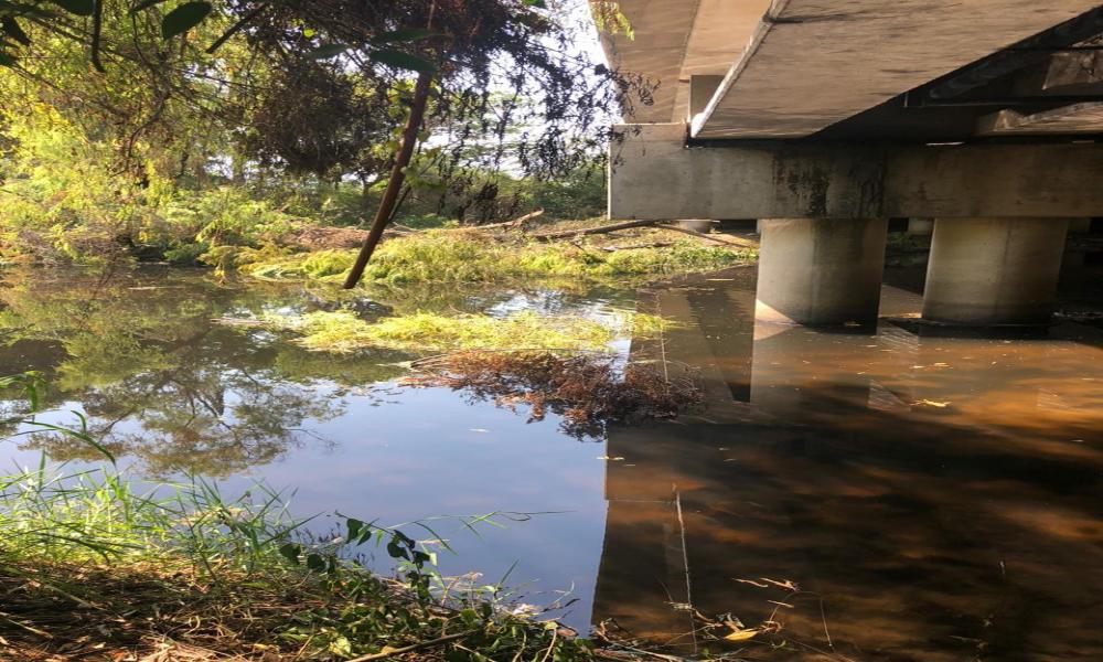 Se toman acuerdos a favor de la ribera del rio Pitillal
