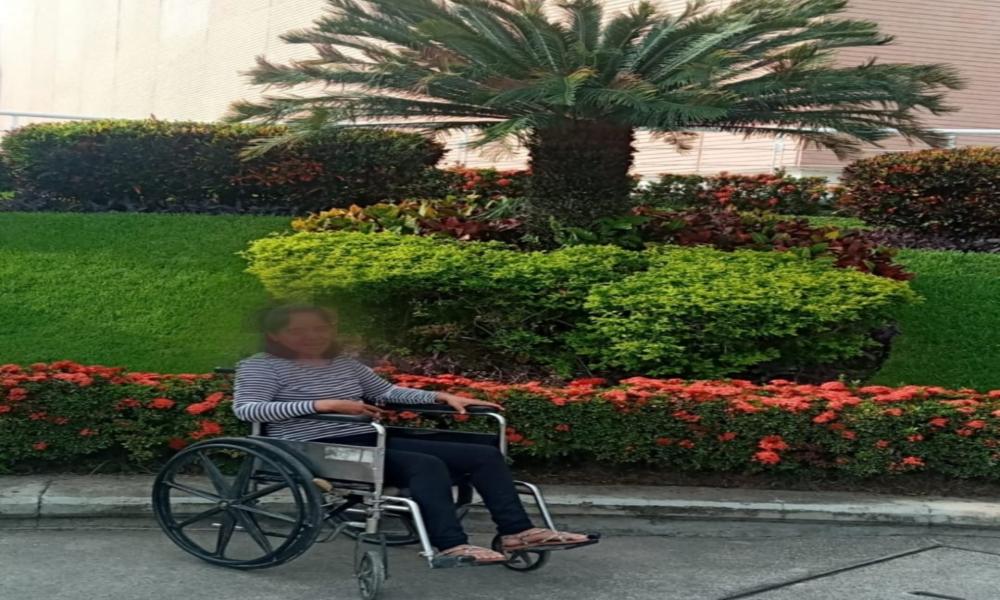 Se suman universitarios de CUCosta a favor de “Casa Violeta”