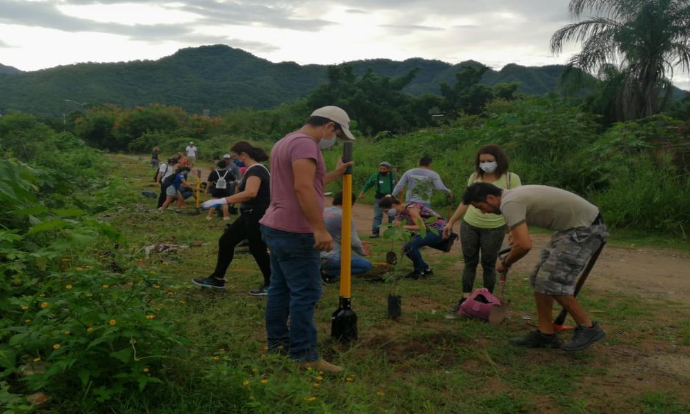 Inicia la reforestación en la ribera del Río Pitillal