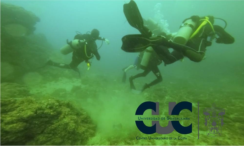 Urgen mejores prácticas de buzos en Los Arcos de Mismaloya