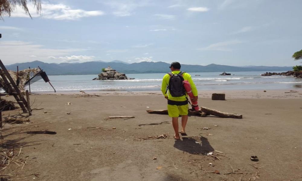 Salen morenas a la orilla del mar debido al agua fría y a reproducirse