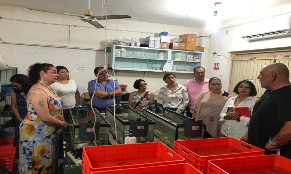 Se prepara CUCosta para la tercera acreditación de la Lic. en Psicología