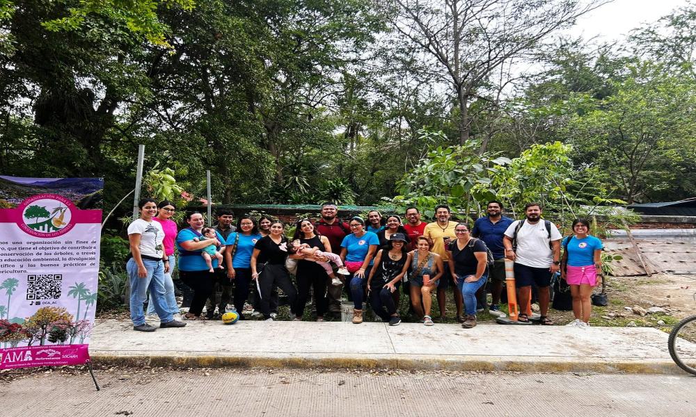 Participación de profesores y estudiantes del Centro Universitario de la Costa en la Mega arborización 2024 Puerto Vallarta