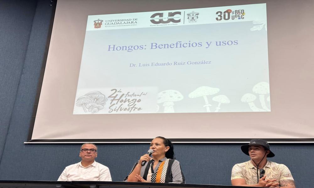 Con éxito culminan las actividades del 2do. Festival del Hongo