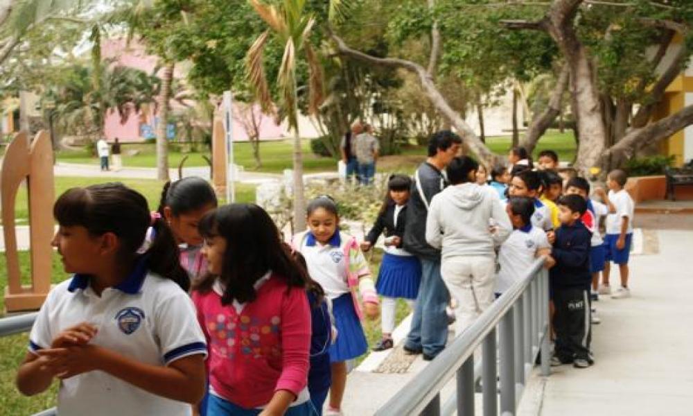 Museo Peter Gray despierta creatividad en niños