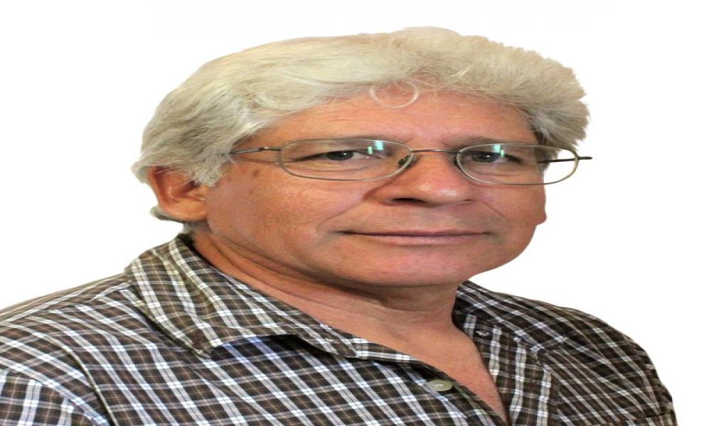 En el invierno, “La Fragata Portuguesa” se acumula en el mar y playa