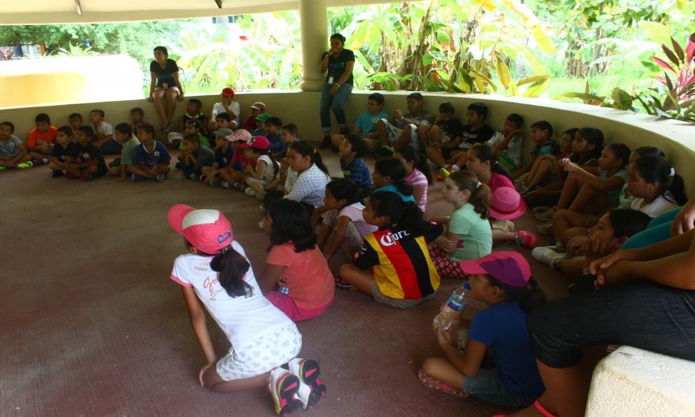 Arranca edición 2015 de los Cursos de Verano en CUCosta